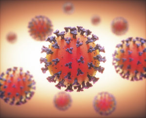 COVID-19 Coronavirus Infections Viruses COVID-19 Coronavirus Infections Viruses